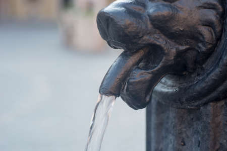 sculpture - metal lion head with water streamの写真素材