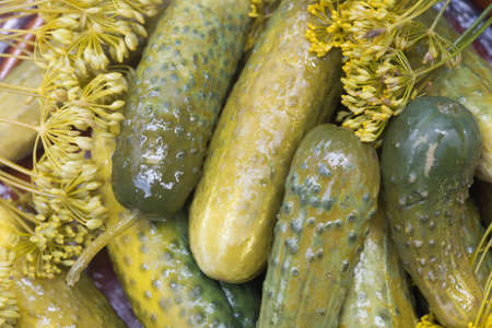 pickled cucumbers with dill macro on plateの写真素材