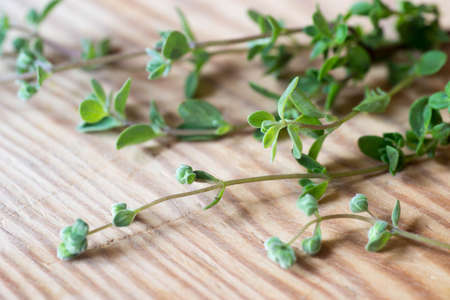 bunch of fresh marjoram  leaves on wooden table macro