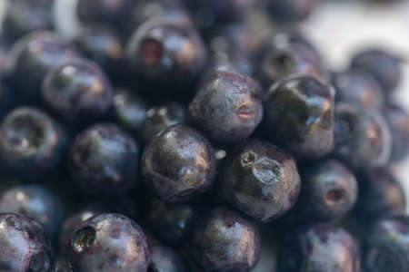 bilberry berries macro on white plate selective focus