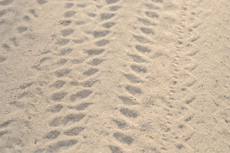 bike wheels tire imprint in sand closeup