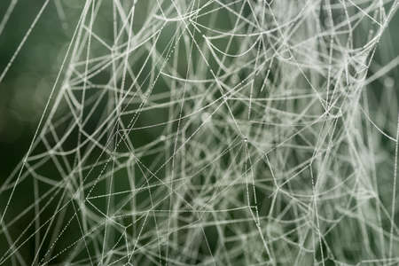 Spider web covered with morning dew macro selective focus