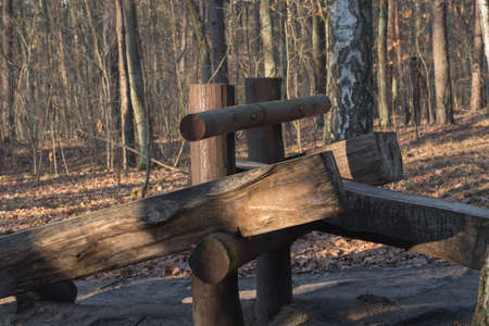playground in forest on sunny dayの写真素材