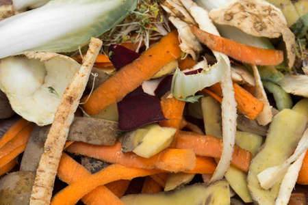 vegetable rotten peelings in composting pileの写真素材
