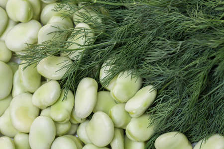 green vicia faba beans and dill leaves closeup