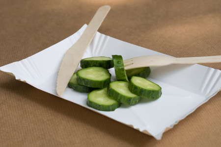 ecological paper palte and wooden cutlery with cucumber slicesの写真素材