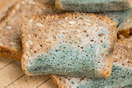 unhealthy food - mold on slices of breadの写真素材