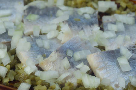 herring with onion and pickled cucumber on plate closeup selective focusの写真素材
