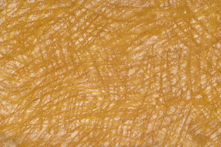 beige color crayon drawing background textureの写真素材