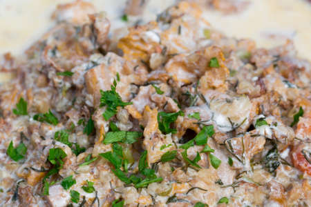 buckwheat kasha with chantarelle mushroom sauce on plateの写真素材