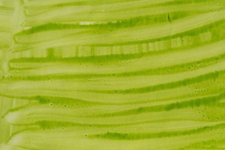green painted watercolor background on paper textureの写真素材