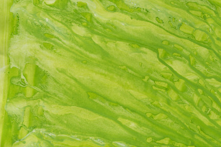 green watercolor painted background on paper texture