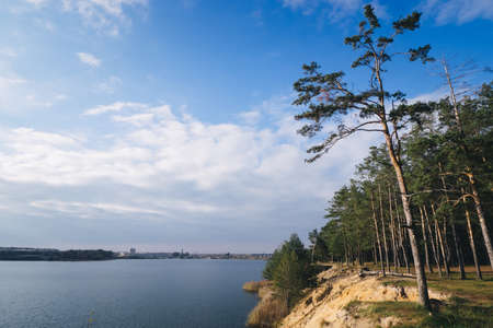 tree near the water of river in sunny summer day.の写真素材