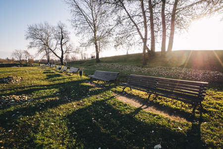 Wooden park bench in a sunny day.の写真素材