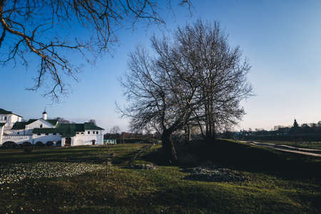 White building in the garden with tree.