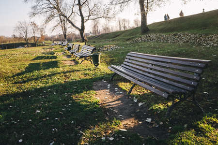 Wooden park bench in a sunny day.の写真素材