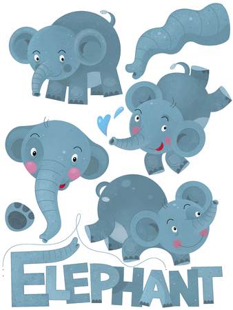 cartoon scene with set of elephants on white background with sign name of animal - illustration for childrenの写真素材