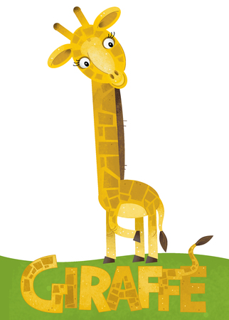 cartoon scene with giraffe card on white background with name of animal - illustration for childrenの写真素材