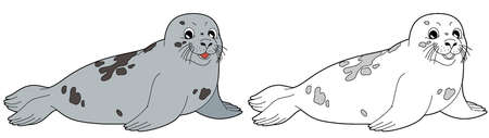 cartoon sketch scene with seal animal illustration for childrenの写真素材