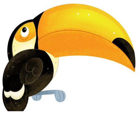 Cartoon animal happy tropical bird toucan isolated illustration for kidsの写真素材