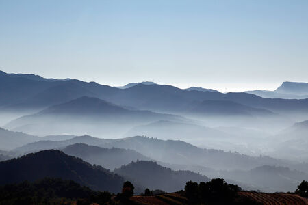 Foggy landscape