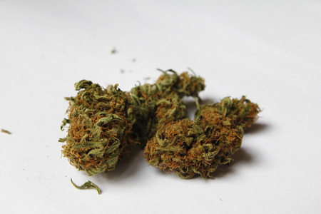 Medical marijuana isolated on white background  Therapeutic and medicinal cannabis の写真素材