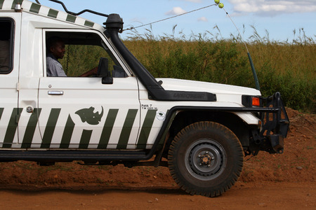 MASAI MARA, KENYA - JUNE 12, 2009  Driving a 4x4 with tourists in the wildlife, during a safari tour on June 12, 2009 in the Masai Mara national park, Kenyaのeditorial素材