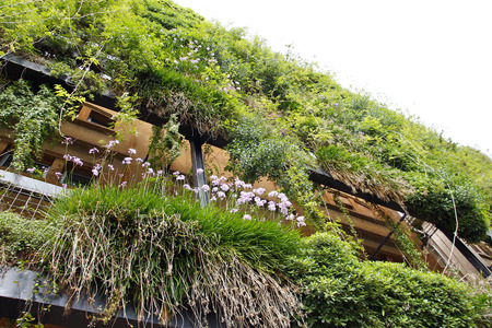 Green wall in an ecological building, sustainable architectureの写真素材
