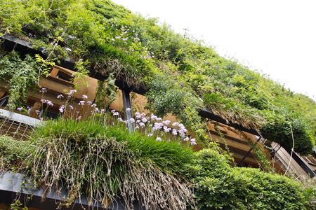 Green wall in an ecological building, sustainable architecture