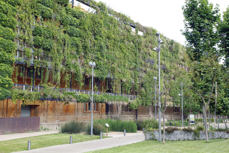 Green wall in an ecological building, sustainable architectureの写真素材
