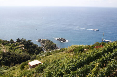 Vineyards next to the sea, Cinque Terre in Italyの写真素材