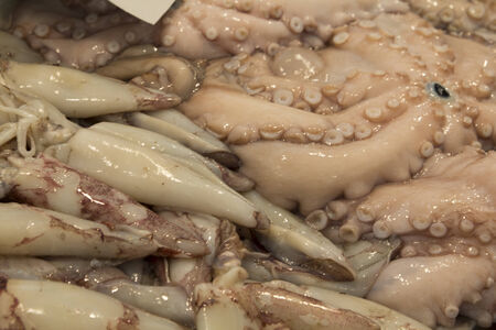 Fresh squid in a local market in Spain