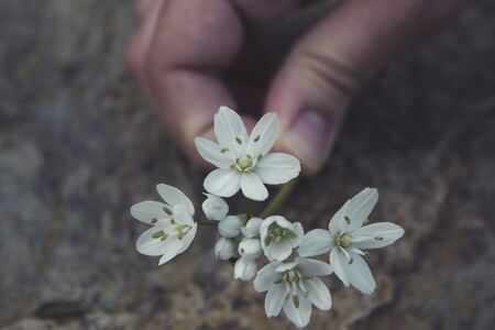 Woman fingerの写真素材