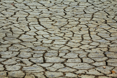Dry soil in an arid zoneの写真素材