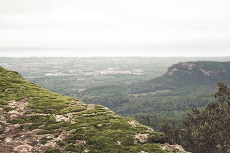 Rock with moss at the natureの写真素材