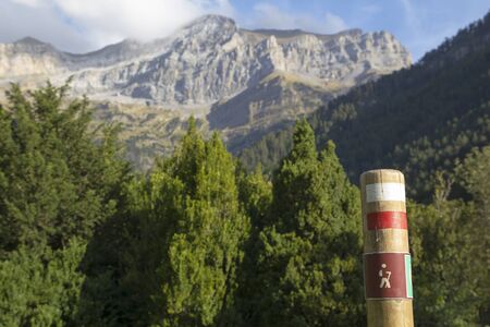 Hiking signal in a wooden post, at the natureの写真素材