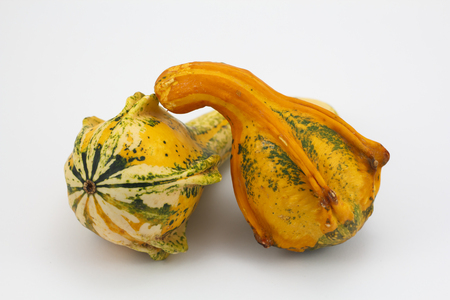 Two pumpkins isolated in a white background, Halloweenの写真素材
