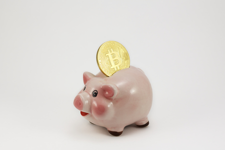 Bitcoin golden coin in a piggy box, isolated pig in a white backgroundの写真素材
