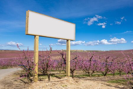Blank billboard mock up in the agriculture. Pink blossom flowers in a peach tree field.の写真素材
