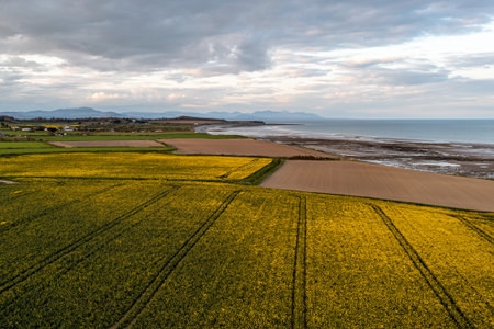 Aerial View Over Clogherhead, Louth Irelandの写真素材