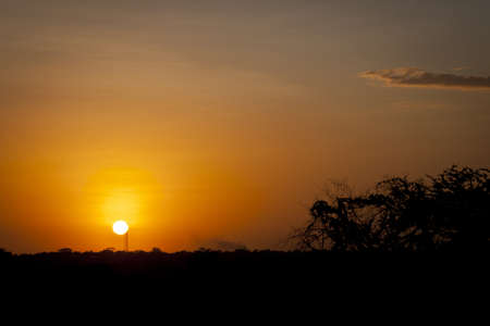 african sunsetの写真素材
