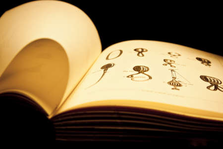 naval bookのeditorial素材