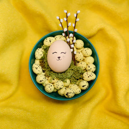 Easter egg on the moss with catkins - yellow backgroundの写真素材