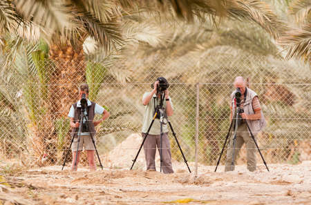 Groepje vogelaars kijkt door telescopen; Group of birchwatchers looking through telescopesのeditorial素材