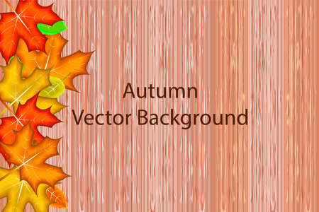 Advertisement onwooden background with autumn leaves. Vector illustration. Made with clipping maskのイラスト素材
