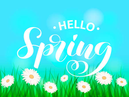 Summer chamomile glade. Hello spring lettering. Vector illustration