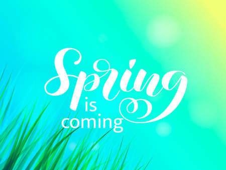 Summer or spring glade with green grass.Spring is coming lettering. Vector illustrationのイラスト素材
