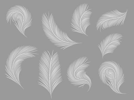Set of simple flying bird feathers. Vector stock illustration for poster and card. Flat icon. Easy conceptのイラスト素材