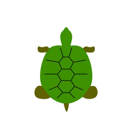 Turtle flat icon. Maldives marine life. Coral island. Exotic vacation. Color filled symbol. Isolated vector stock illustrationのイラスト素材