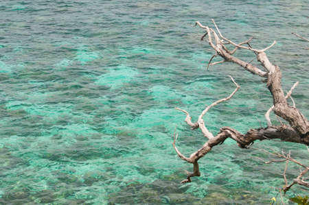 andaman seaの写真素材